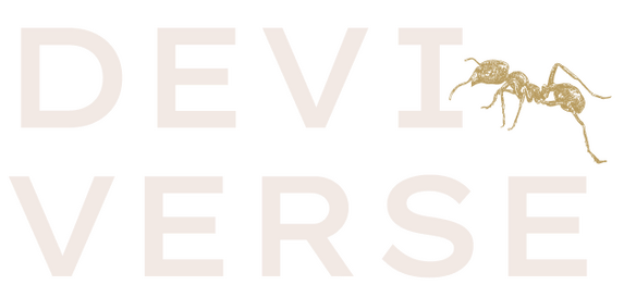 deviverse_logo
